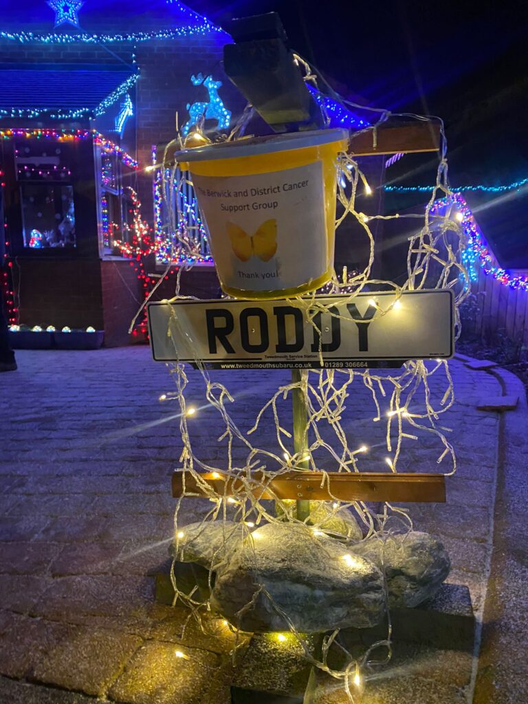 Roddam Court Christmas Lights 2022
