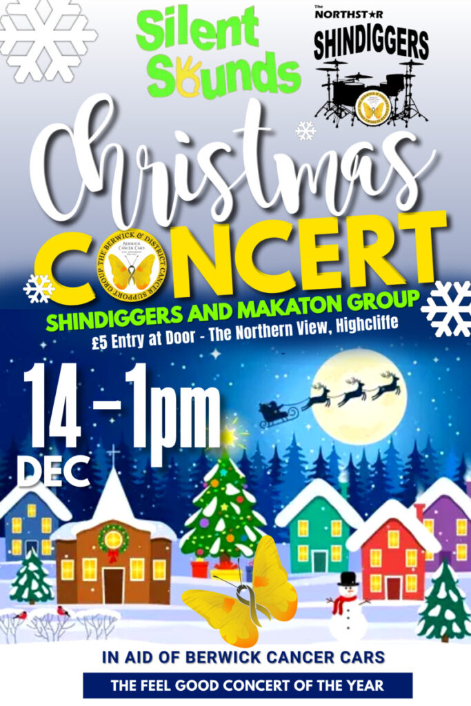 Shindiggers and Makaton Christmas Concert - North Star